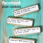 wm.facebook.cookies1a