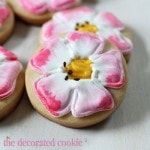wm.getwell.flowercookies5