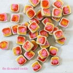 wm.tiedye.cookiebites1