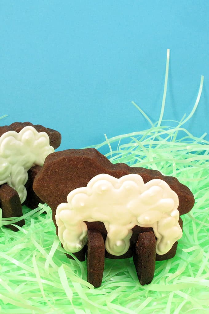 Lamb cookies: How to make 3D standing lamb cookies for Easter with chocolate cut-out cookie dough and delicious royal icing.