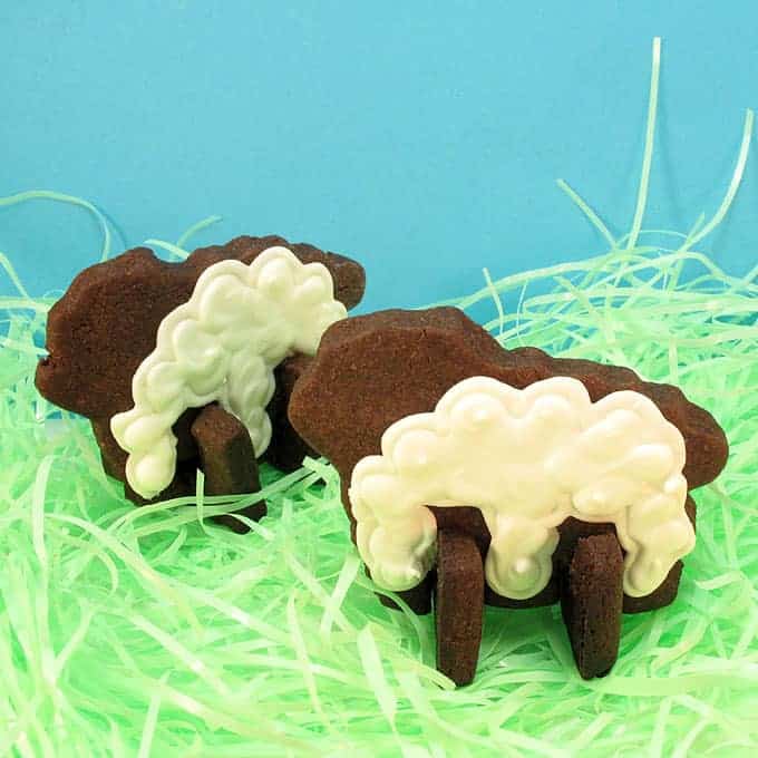 Lamb cookies: How to make 3D standing lamb cookies for Easter with chocolate cut-out cookie dough and delicious royal icing.