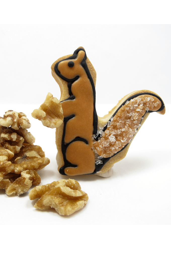 Squirrel cookies: How to decorate squirrel cookies with royal icing for Fall or Thanksgiving.