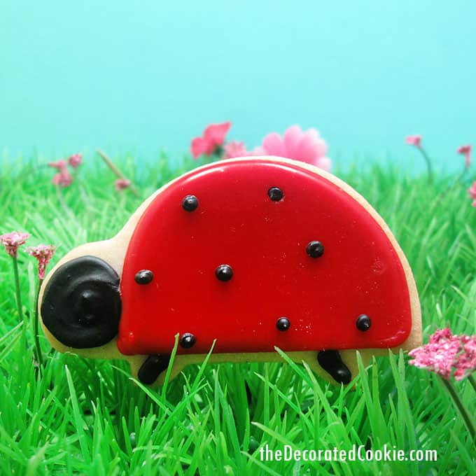 lady bug cookie 