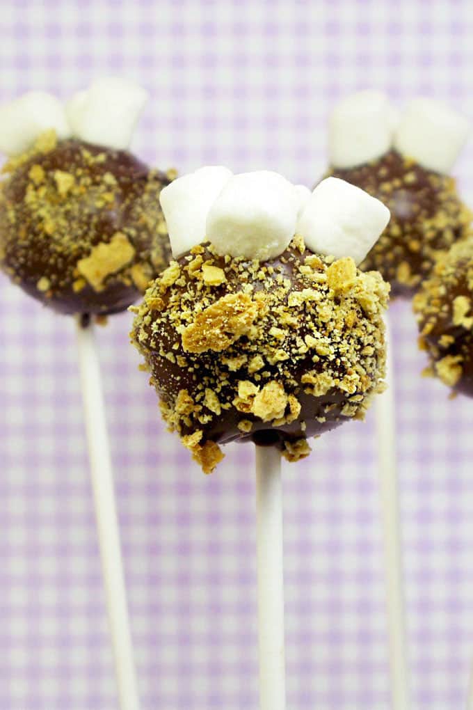 s'mores cake pops, a cute treat for summer #smores #cakepops 