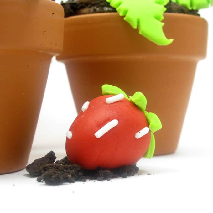 Strawberry patch cupcakes are delicious chocolate "dirt" cupcakes in flower pots with strawberry patch fondant decorations. #strawberry #summer #cupcakes #flowerpot #Fondant 