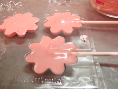 daisy candy pops 