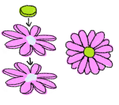 fondant flower cookie pops drawing 