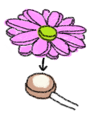 drawing of fondant flower cookie pop