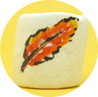 Thanksgiving marshmallows - feather