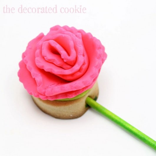 carnation flower cookies