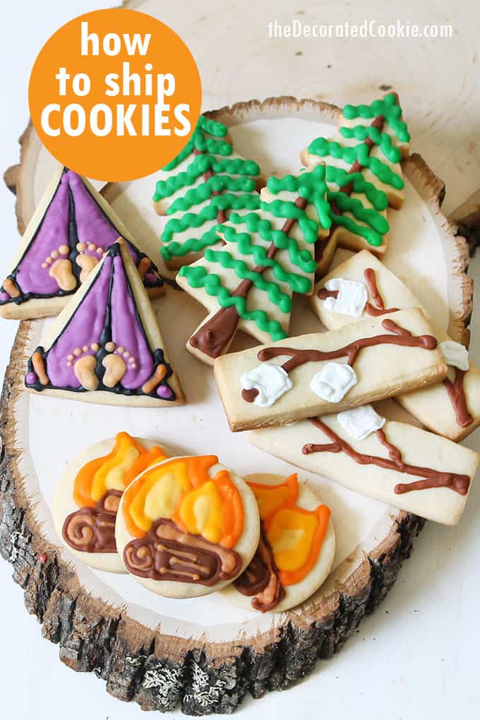 DECORATED camping themed cookies 