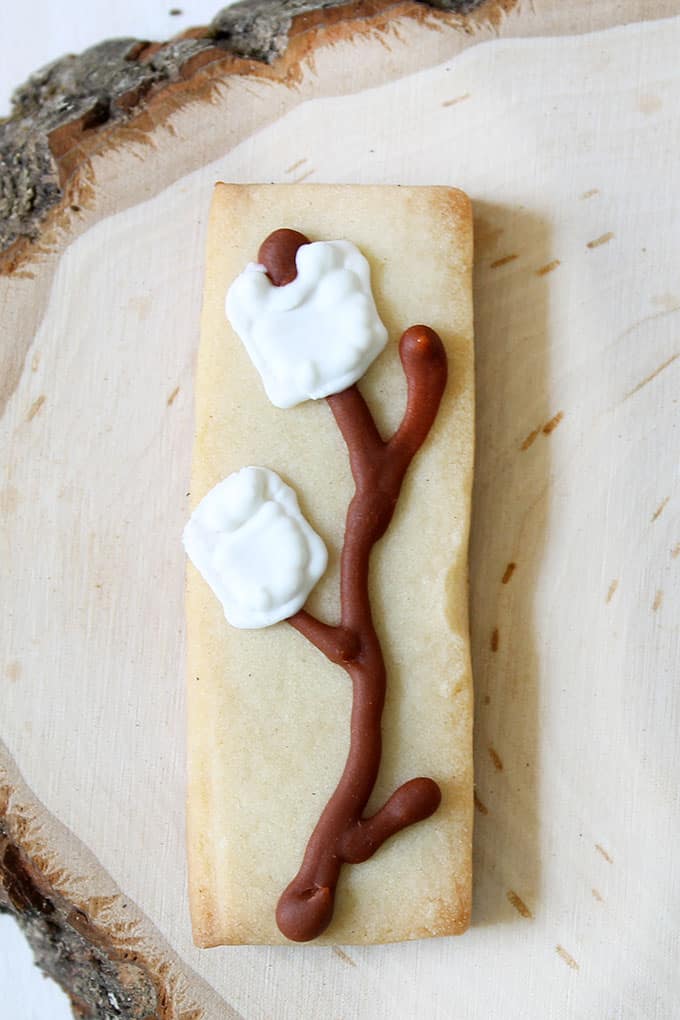 DECORATED camping themed cookies 