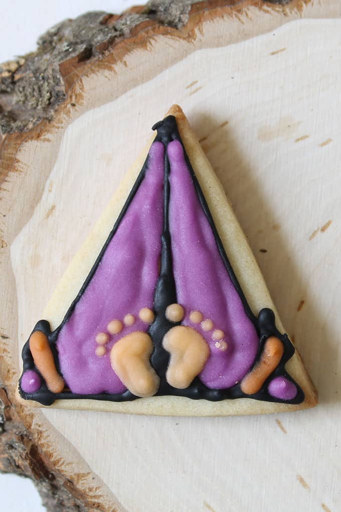 DECORATED camping themed cookies 
