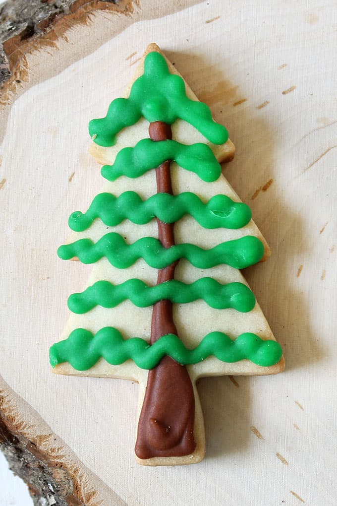 DECORATED camping themed cookies 