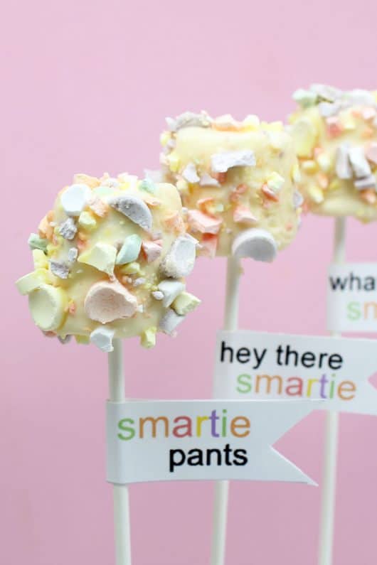 back to school "Smarties" marshmallows on a stick with free printable