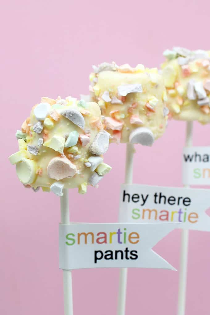 BACK TO SCHOOL marshmallows: Fun "Smarties' marshmallow pops with free back to school printables. 