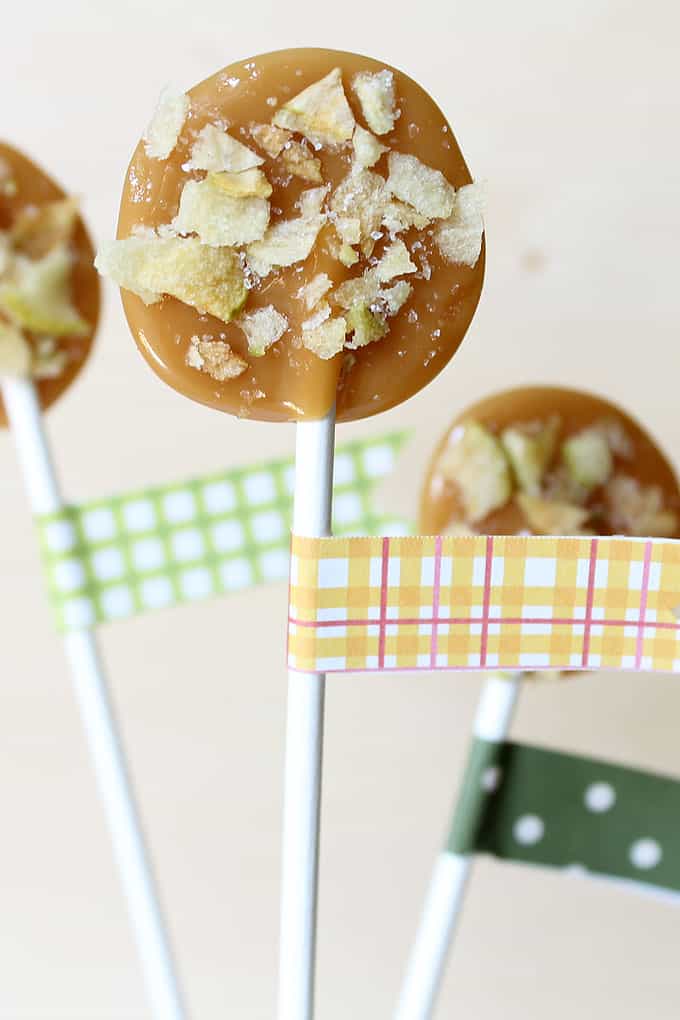 APPLE CHIP LOLLIPOPS: How to make apple chips and easy, salted caramel apple chip lollipops for Fall. Great Fall treat or Thanksgiving party favor.