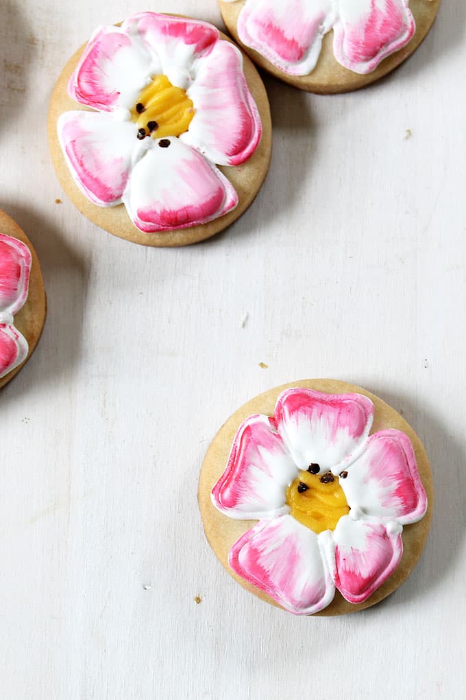 GET WELL COOKIES: Eglantine Roses mean "a wound to heal" according to the Language of Flowers. Eglantine Rose painted cookies as a get well gift.