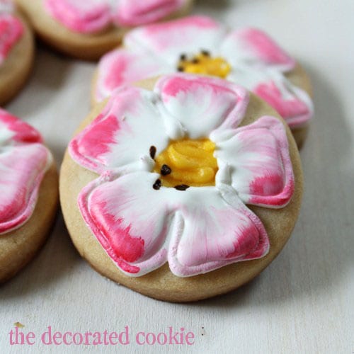 painted get well cookies: Eglantine Roses