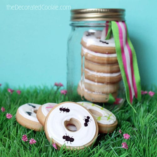 picnic decorated cookies 