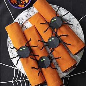 spider-craft-napkin-rings