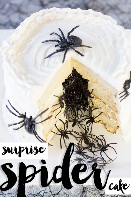 spider-surprise-cake