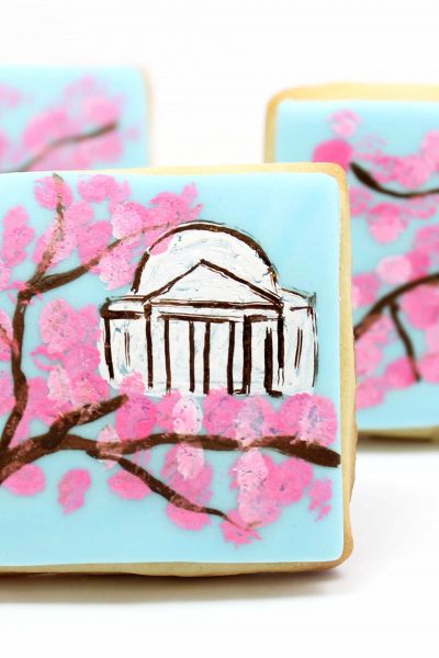 cherry blossom painted cookies, Washington DC in the spring