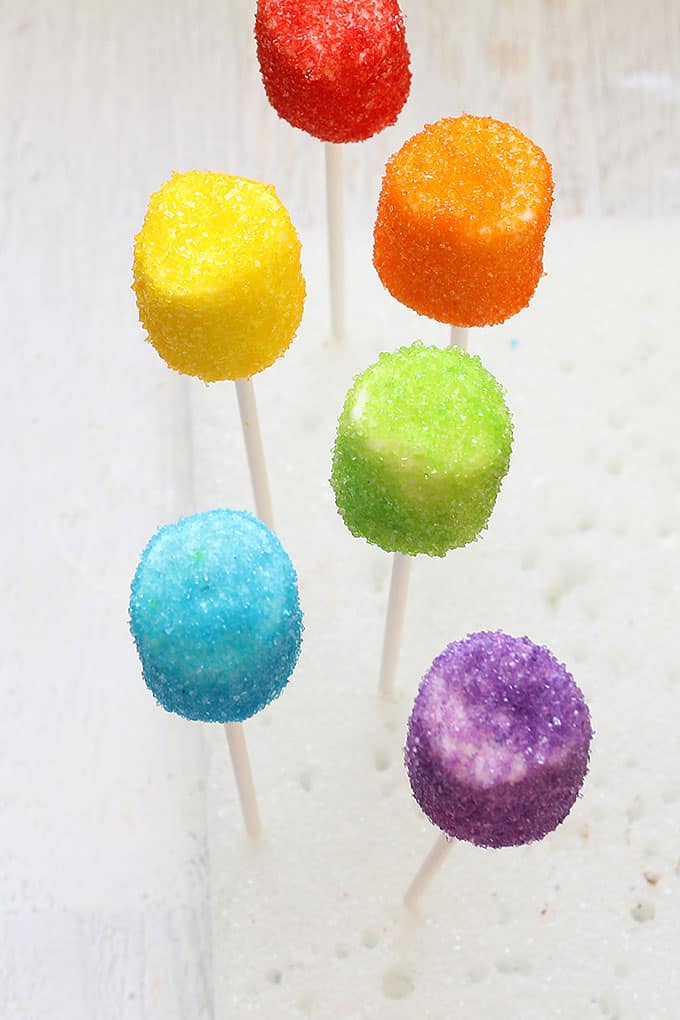 RAINBOW MARSHMALLOW POPS with sprinkles 