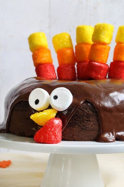 Turkey chocolate cake with marshmallow feathers for Thanksgiving