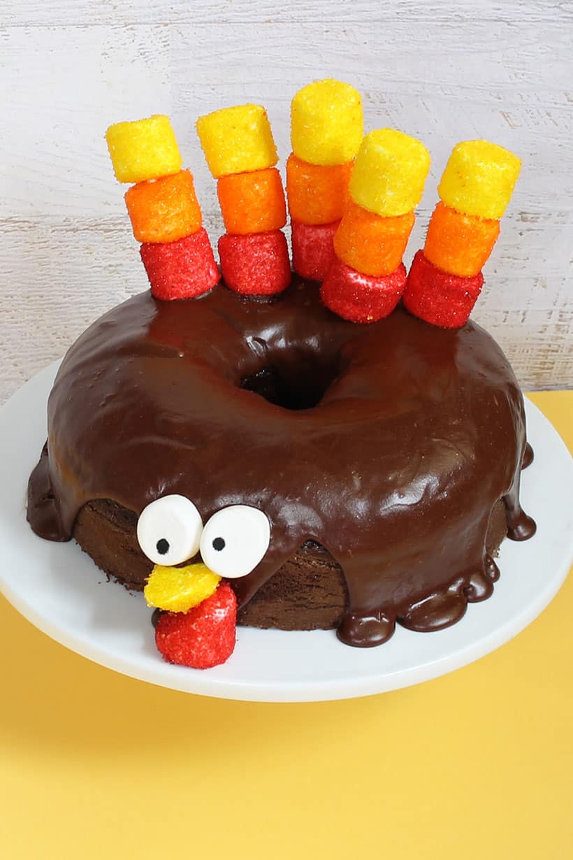 urkey chocolate cake with marshmallow feathers for Thanksgiving 