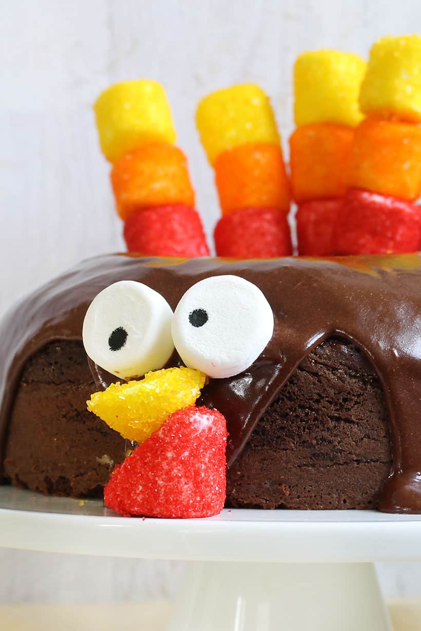 urkey chocolate cake with marshmallow feathers for Thanksgiving 