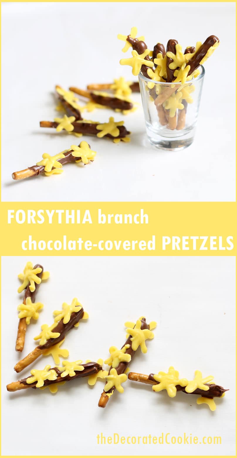 Forsythia branch chocolate-covered pretzels 