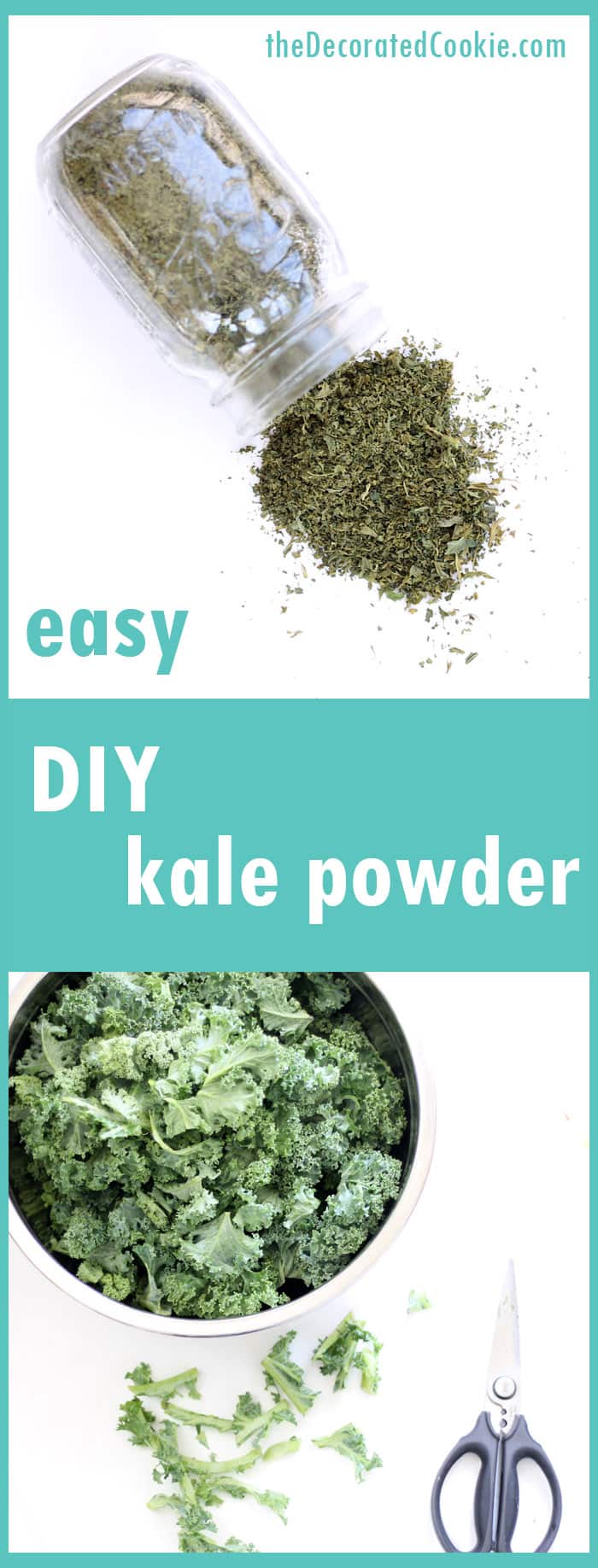 homemade kale powder -- healthy choice, sprinkle nutrition in all your favorite foods. 