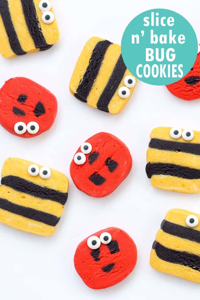 How to make slice and bake bug cookies