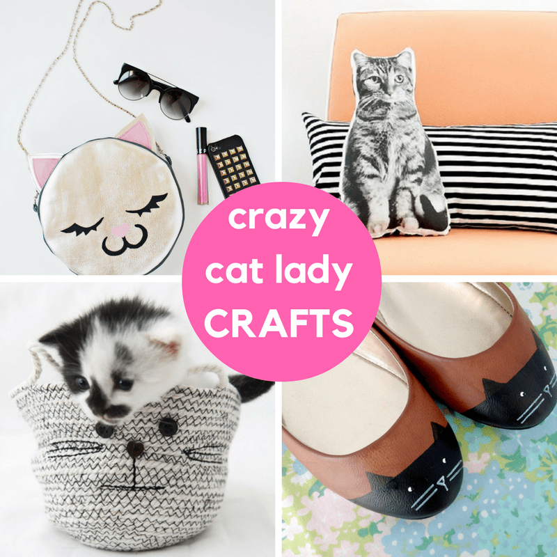 cute kitty cat crafts for crazy cat ladies