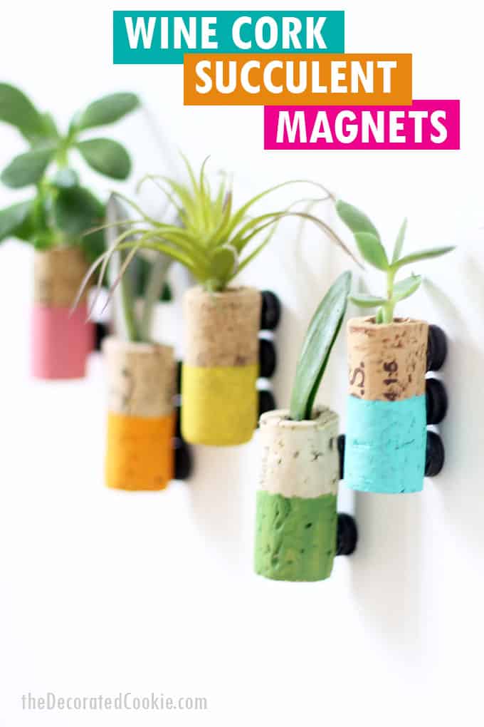 wine cork succulent magnets 