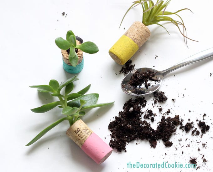 wine cork succulent planter magnets 