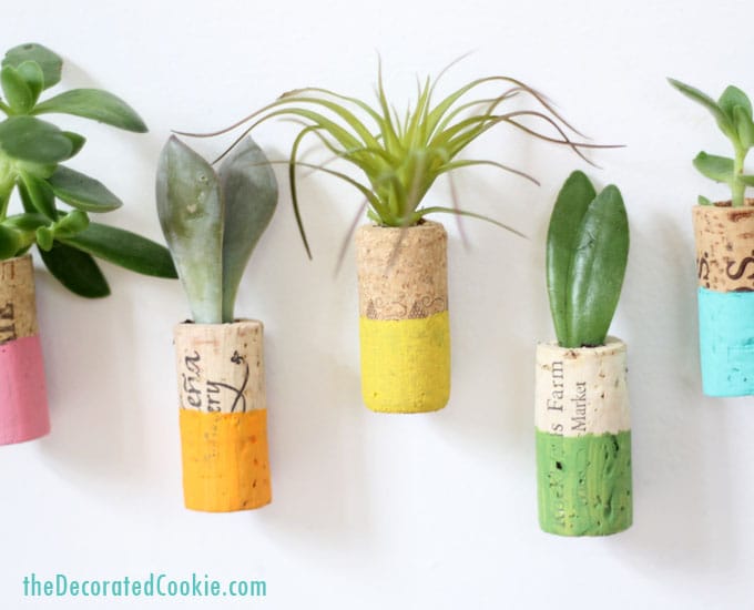 wine cork succulent planter magnets 