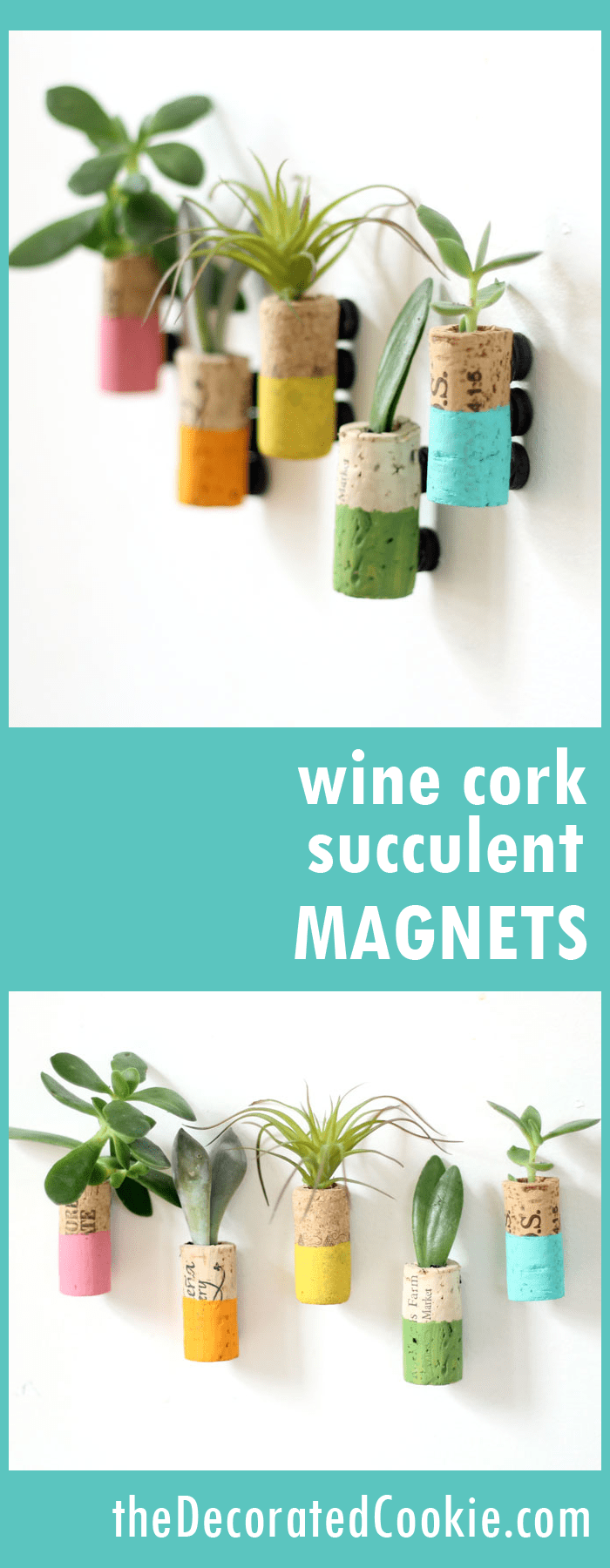 wine cork succulent planter magnets 