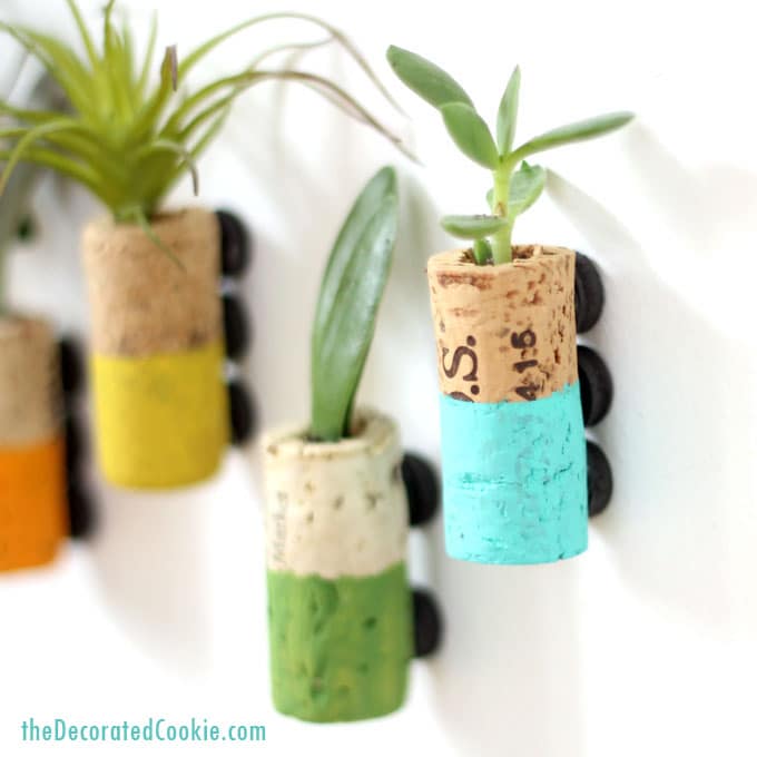 wine cork succulent planter magnets 