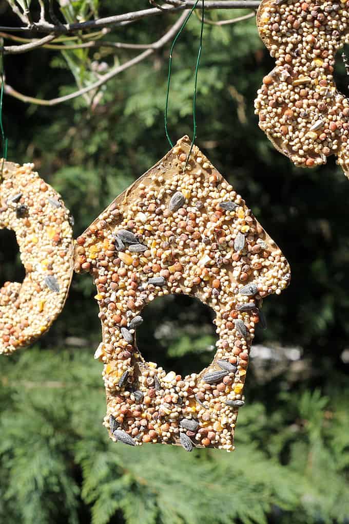 With cardboard, peanut butter, and birdseed, kids and adults can both make these easy birdseed ornaments garden craft. Video tutorial included.