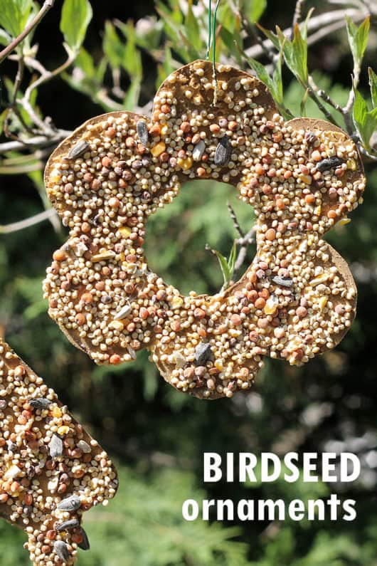 EASY BIRDSEED ORNAMENTS -- fun garden craft for kids.