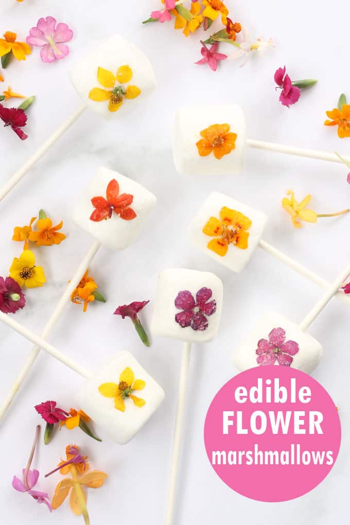 Edible flower marshmallows