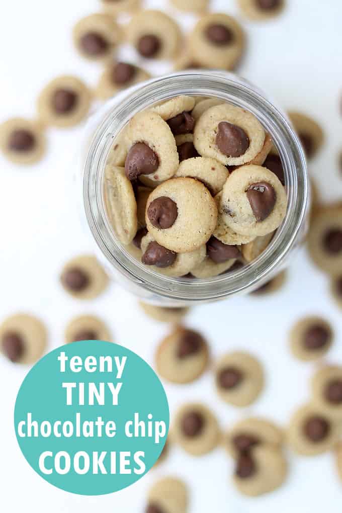 Mini chocolate chip cookies packaged in mason jars are a cute homemade gift idea. These cookies are teeny, tiny, bite-size chocolate chip cookies. #chocolateChipCookies #recipe #minicookies #masonjar 