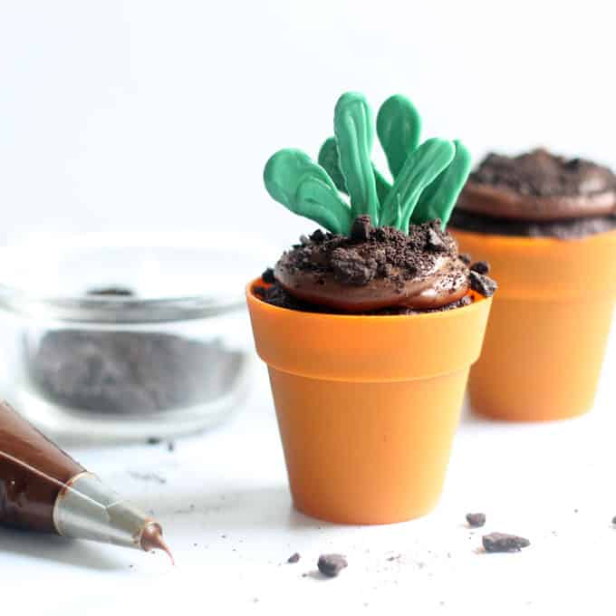 FLOWER POT CUPCAKES -- Delicious chocolate cupcakes with chocolate buttercream frosting, topped with candy sprouts for Earth Day, garden, or spring.