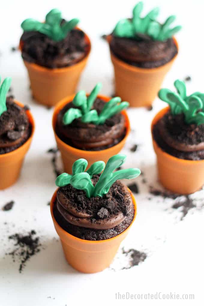 FLOWER POT CUPCAKES -- Delicious chocolate cupcakes with chocolate buttercream frosting, topped with candy sprouts for Earth Day, garden, or spring.