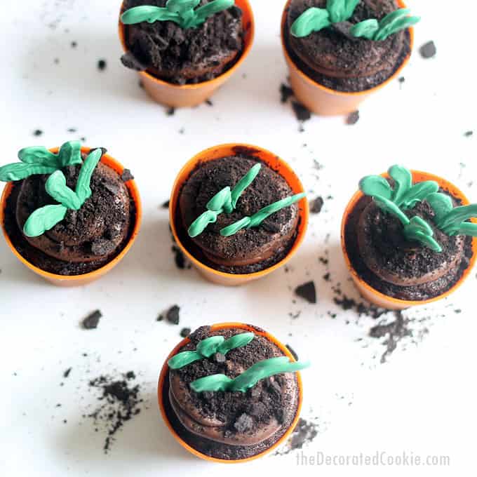 FLOWER POT CUPCAKES -- Delicious chocolate cupcakes with chocolate buttercream frosting, topped with candy sprouts for Earth Day, garden, or spring.