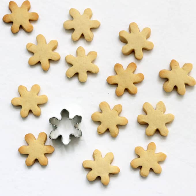 undecorated mini daisy cookies 