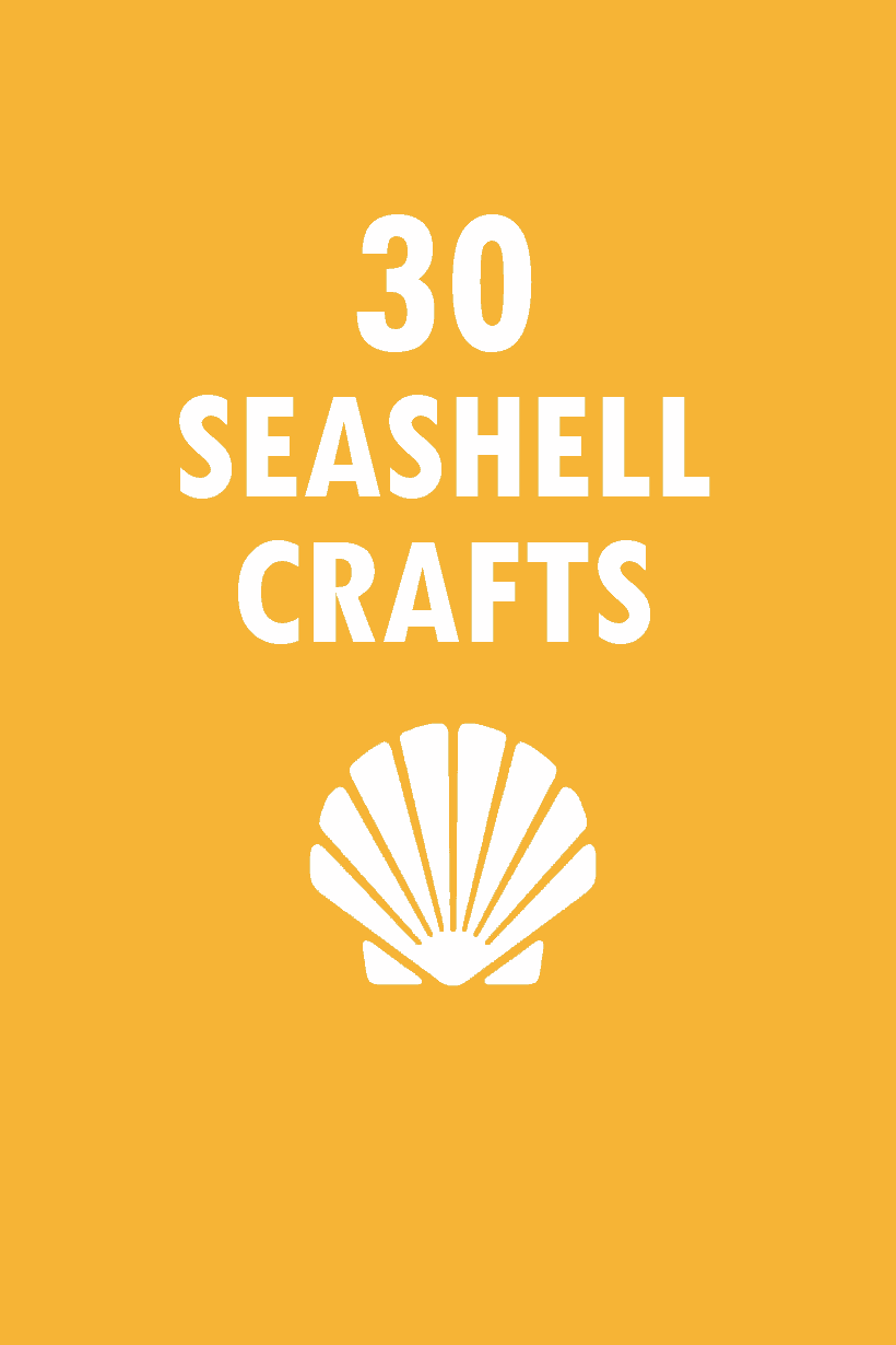 Adorable Seashell Craft Ideas for Kids - Crafty Morning