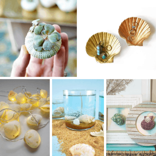 30 SEASHELL CRAFTS for kids and adults for a creative summer.